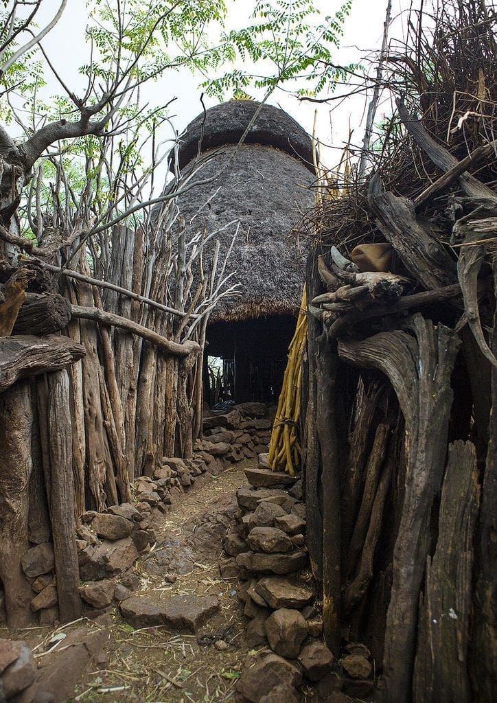 A narrow wooden path leading to a thatched shrine hut in rural Uganda